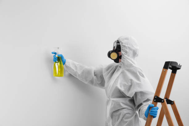 Biohazard Mold Removal in Palmyra, WI